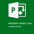 Программное обеспечение Microsoft Project 2021 Standard Edition PC License Online