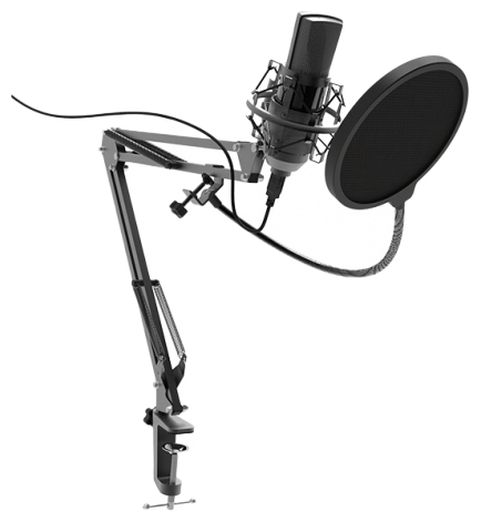 Микрофон Ritmix RDM-180 черный