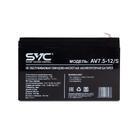 Аккумуляторная батарея SVC AV7.5-12/S