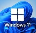 Операционная система Microsoft Windows 11 Pro RU x64 DSP OEI