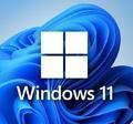 Операционная система Microsoft Windows 11 Pro ML x64 PC License Online