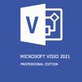 Программное обеспечение Microsoft Visio 2021 Professional Edition PC License Online