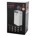 Климатический комплекс Sharp KC-G61RW