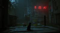 Игра для PS5 Stray русские субтитры