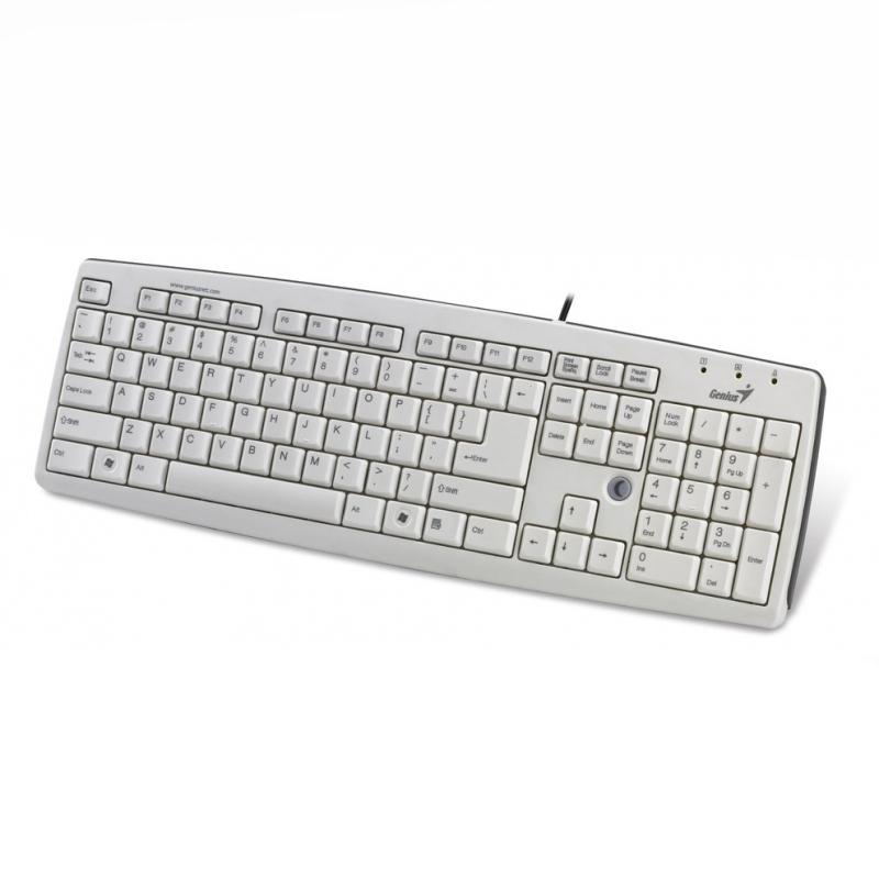 Клавиатура Genius KB-06XE White USB