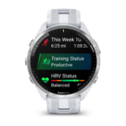 Смарт-часы Garmin Forerunner 965 Titanium Bezel with Whitestone Case and Whitestone/Powder Gray Silicone Band