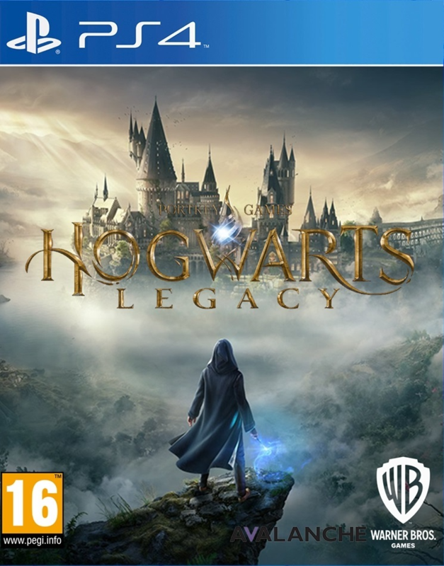 Игра для PS4 Hogwarts Legacy русские субтитры