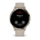 Смарт-часы Garmin Venu 3S 41mm Gold Steel French Gray Case Silicone Band