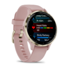Смарт-часы Garmin Venu 3S 41mm Gold Steel Dust Rose Case Silicone Band