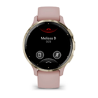Смарт-часы Garmin Venu 3S 41mm Gold Steel Dust Rose Case Silicone Band
