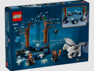 Конструктор LEGO Harry Potter 76432 "Запретный Лес: Магические Существа"