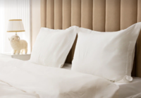 Комплект постельного белья Sleep & Beyond organic ivory 300 tc