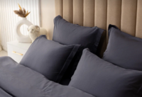 Комплект постельного белья Sleep & Beyond organic charcoal 300 tc
