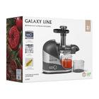 Соковыжималка Galaxy Line GL0817