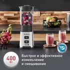 Блендер Moulinex LM17GD10