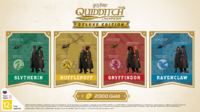 Игра для PS5 Harry Potter: Quidditch Champions Deluxe Edition (английская версия)