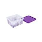 Контейнер Полимербыт Lavender 435104400