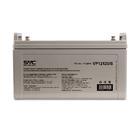 Аккумуляторная батарея SVC VP12120/S