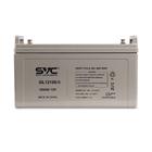 Аккумуляторная батарея SVC GL12100/S