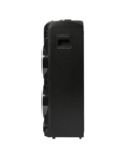 Домашняя аудиосистема Aceline All-in-One LH-V1500