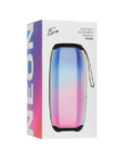 Портативная колонка Fiero Neon FR200 серая
