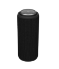 Портативная колонка Fiero Vortex N FR450 black