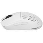 Мышь Ardor Gaming Phantom Pro V2 Wireless белая