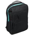 Рюкзак для ноутбука Aceline Pol-BLK-34