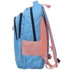 Рюкзак для ноутбука Aceline Pol-BL-39