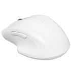 Мышь Dexp WM-903WH White