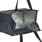 Изотермическая сумка Aceline BG-20