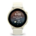 Смарт-часы Garmin Vivoactive 6 Lunar