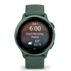 Смарт-часы Garmin Vivoactive 6 Green