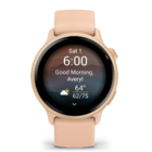 Смарт-часы Garmin Vivoactive 6 Peach Pink
