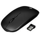 Мышь Dexp WM-904BL Silent