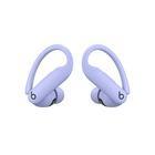 Наушники Beats Powerbeats Pro 2 фиолетовые
