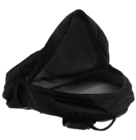 Рюкзак Aceline Pol-A21-BLK черный 14"