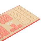 Комплект Acer OCC205 Pink