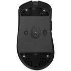 Мышь Lamzu Paro Aurora Black