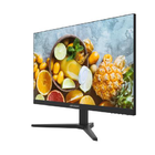 Монитор Hikvision DS-D5024F2-2P2