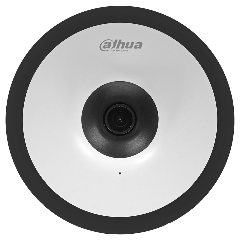 IP камера Dahua DH-IPC-EW5541P-AS