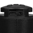 Портативная колонка Soundmax SM-PS5015B черный
