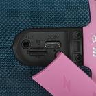 Портативная колонка Fiero Lure Compatto FRPS-520 Blue Pink