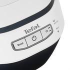 Парогенератор Tefal GV9712E0