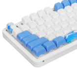 Клавиатура проводная Red Square Alumix TKL Aquarius v2