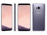 Сотовый телефон Samsung Galaxy S8 G950f/ds серый РСТ