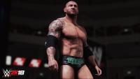 Игра для PS4 WWE W2K18