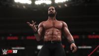 Игра для PS4 WWE W2K18