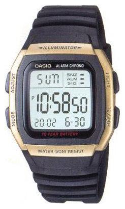 Часы мужские Casio W-96H-9AVDF