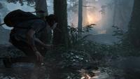 Игра для PS4 The Last of Us 2 русская версия
